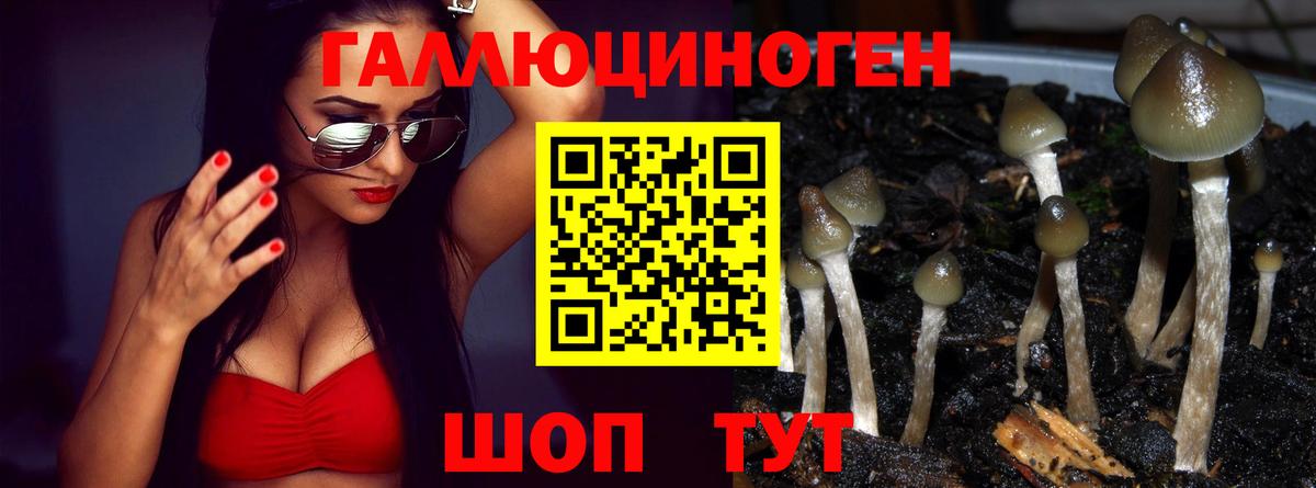 Галлюциногенные грибы прущие грибы  Псилоцибиновые грибы Psilocybe  Ишимбай  Вход с VPN 